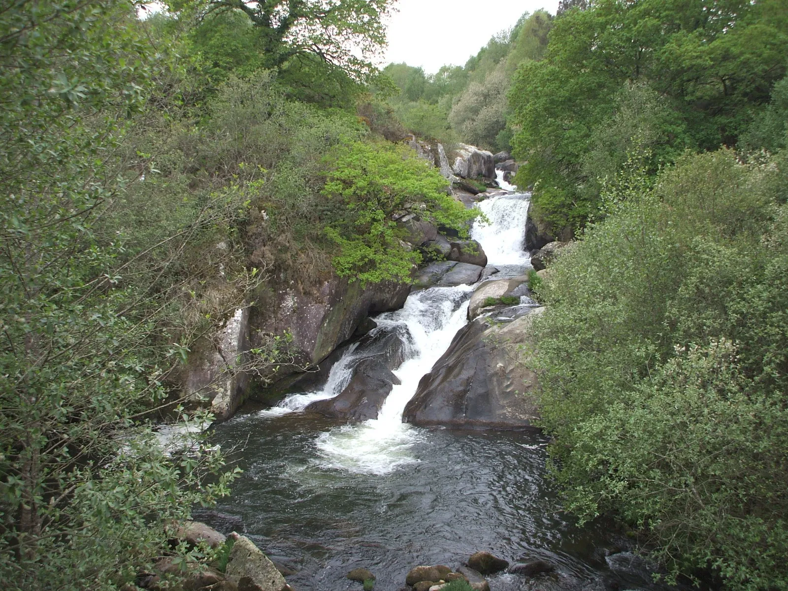 Asociación de Veciños